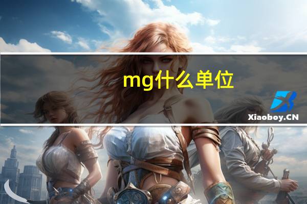 mg什么单位