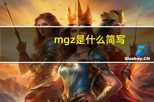 mgz是什么简写
