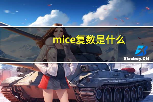 mice复数是什么