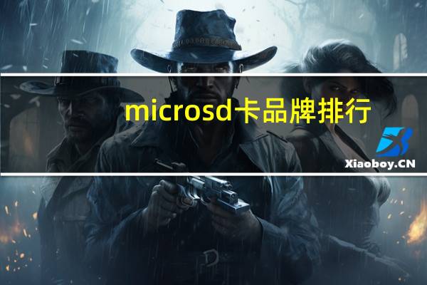 microsd卡品牌排行（microsd卡价格）