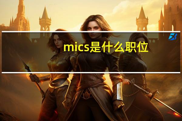 mics是什么职位