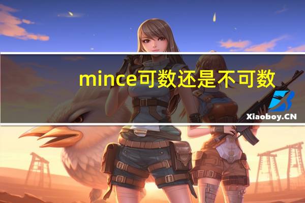 mince可数还是不可数
