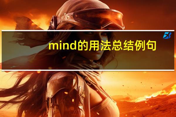mind的用法总结例句