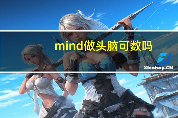 mind做头脑可数吗