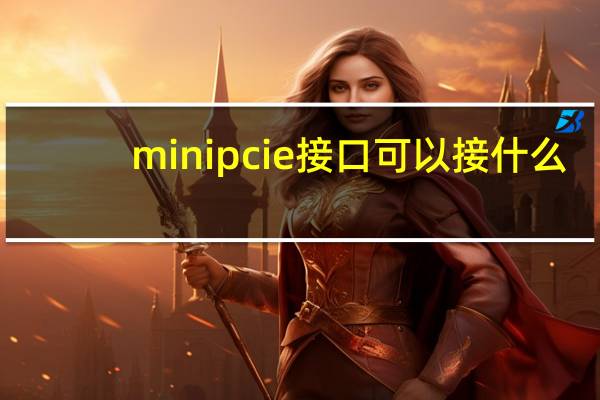 minipcie接口可以接什么
