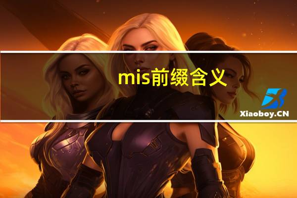 mis前缀含义
