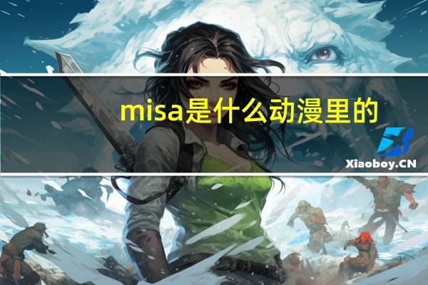 misa是什么动漫里的