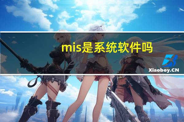 mis是系统软件吗