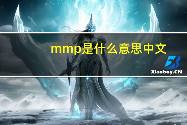 mmp是什么意思中文（mmp是什么意思）