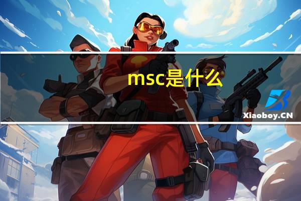 msc是什么