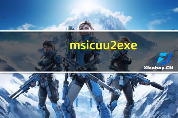 msicuu2 exe
