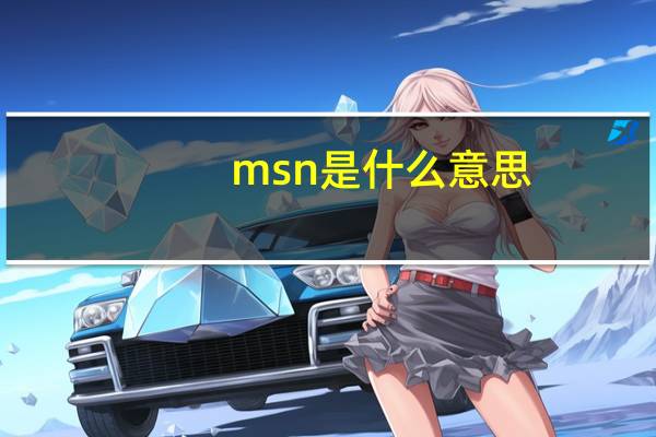 msn是什么意思