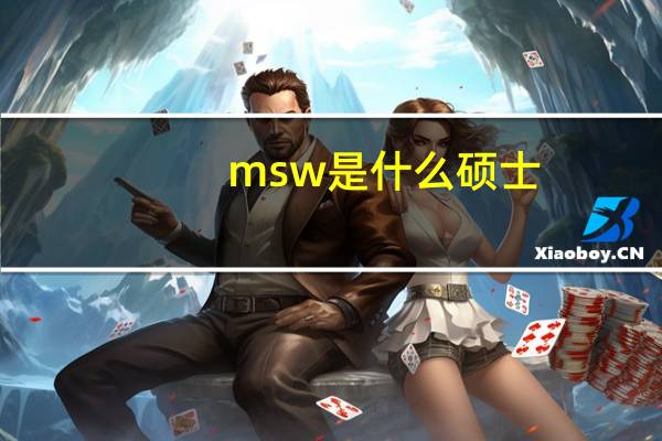 msw是什么硕士