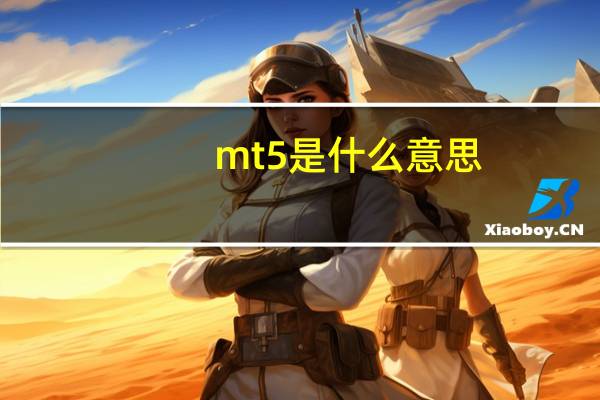 mt5是什么意思