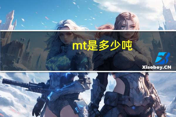 mt是多少吨
