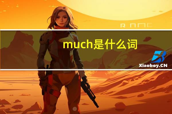 much是什么词