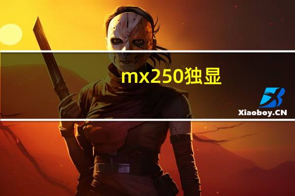 mx250独显（mx2白色版）