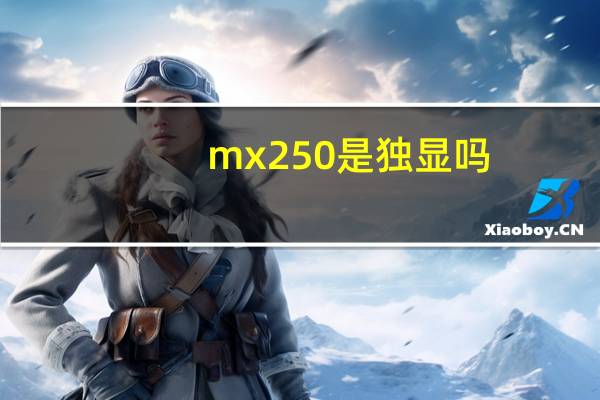 mx250是独显吗