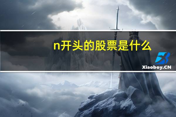 n开头的股票是什么