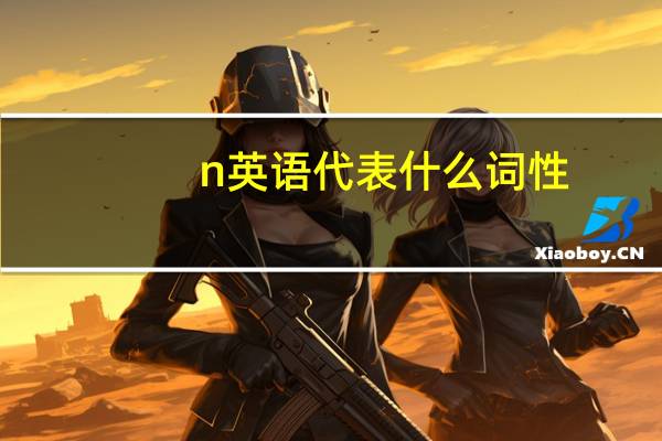 n英语代表什么词性