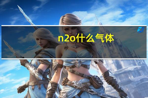 n2o什么气体