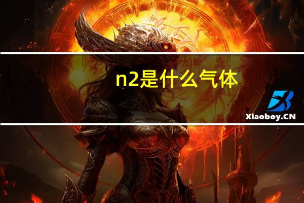 n2是什么气体