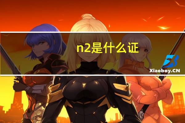 n2是什么证