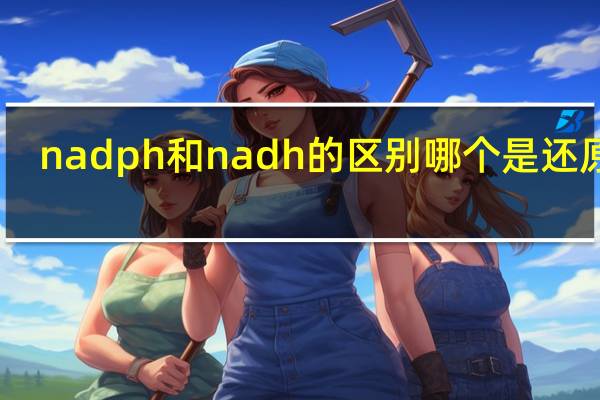 nadph和nadh的区别哪个是还原氢