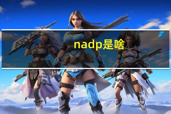 nadp 是啥