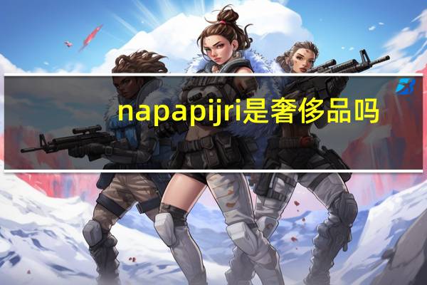 napapijri是奢侈品吗