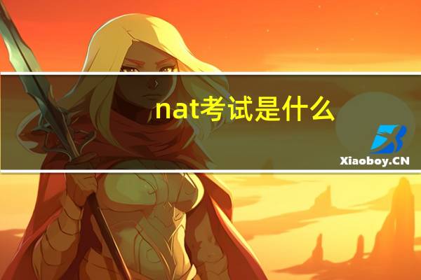 nat考试是什么