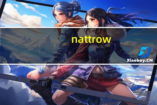 nattrow（Natthew简介）