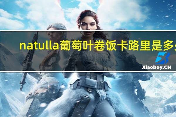 natulla 葡萄叶卷饭卡路里是多少