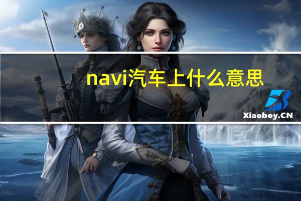 navi汽车上什么意思