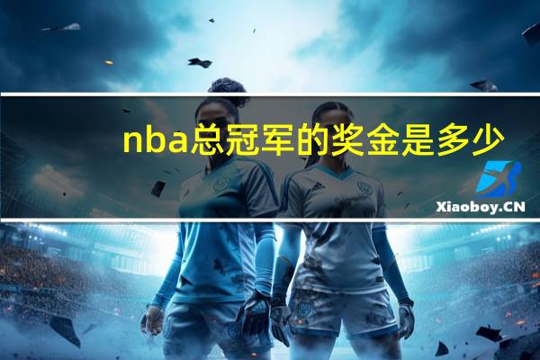 nba总冠军的奖金是多少