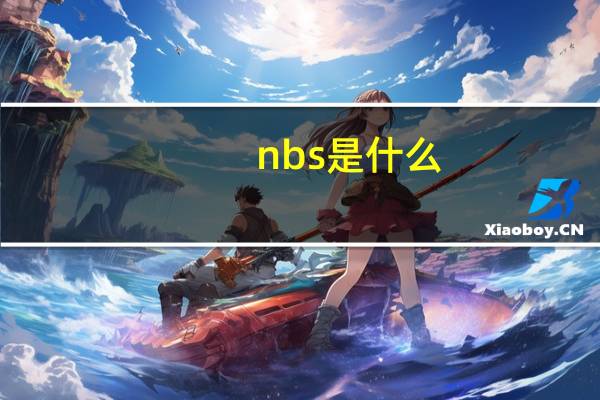nbs是什么