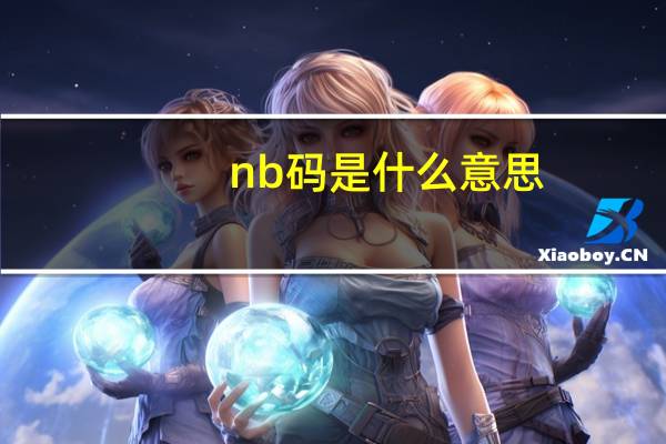 nb码是什么意思