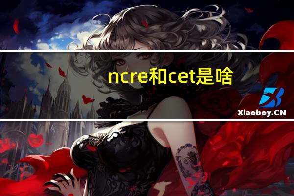 ncre和cet是啥