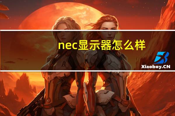 nec显示器怎么样