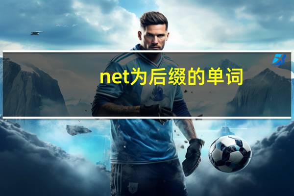 net为后缀的单词