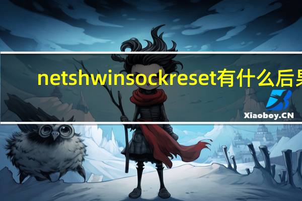 netsh winsock reset有什么后果（netsh winsock reset）