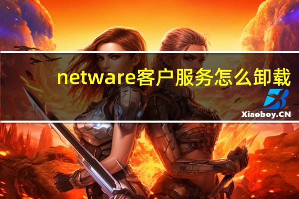 netware客户服务怎么卸载（netware客户服务禁用了欢迎屏幕）