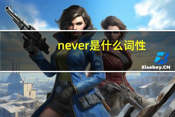 never是什么词性
