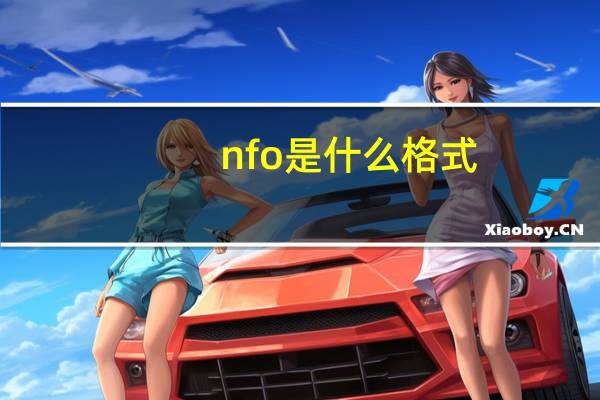 nfo是什么格式（nfo是什么文件）