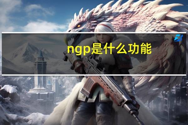 ngp是什么功能