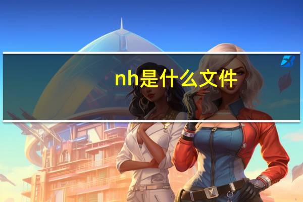 nh是什么文件