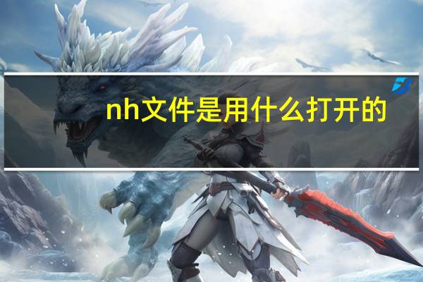 nh文件是用什么打开的?