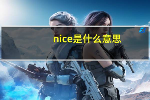 nice是什么意思