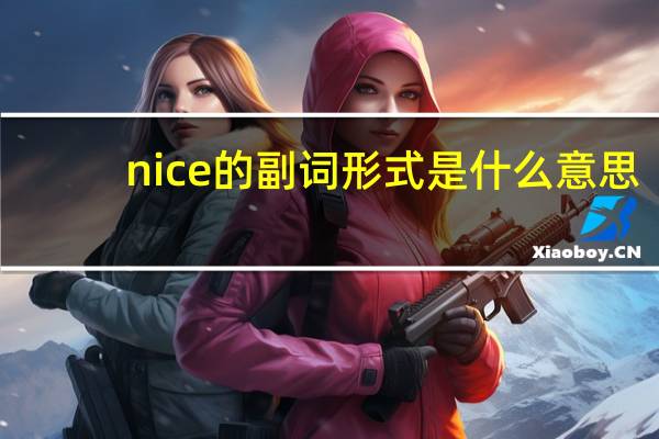nice的副词形式是什么意思