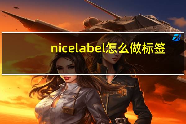 nice label怎么做标签（nice lady）